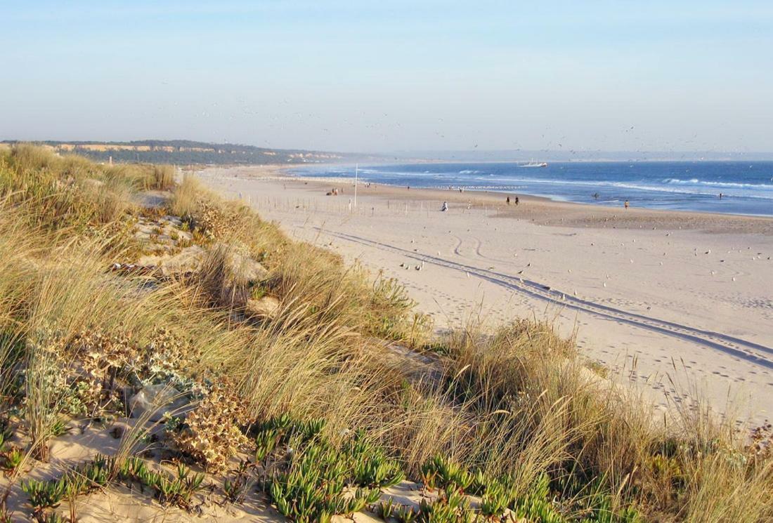 Besthomestay- Caparica Beach Lisbon 알마다 외부 사진
